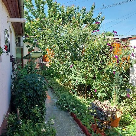 Casa Calin Tulcea Exterior photo