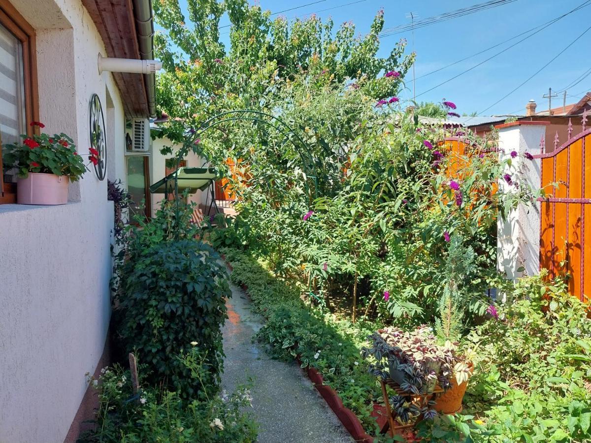 Casa Calin Tulcea Exterior photo